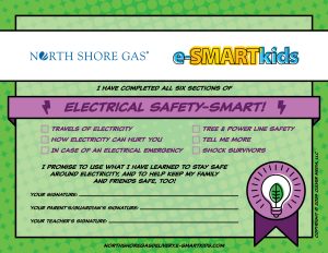 Electrical Safety-SMART certificate